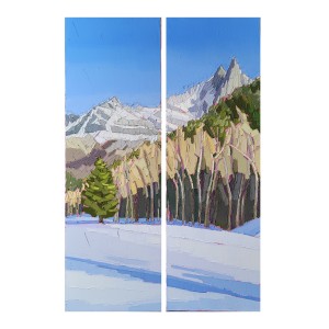 CHAMONIX LES DRUS 2x30x90