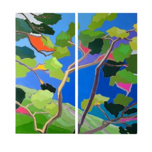 BALADE AU CAP SICIE 2x50x100