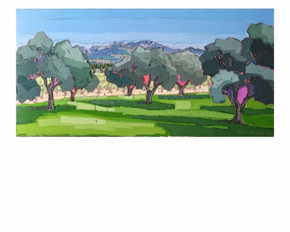 AU LOIN LES DENTELLES DE MONTMIRAIL 80×40