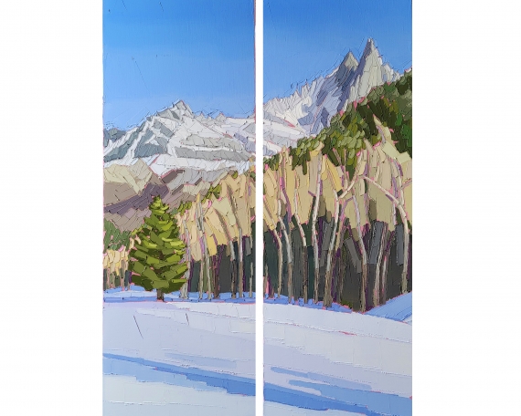 CHAMONIX LES DRUS 2x30x90