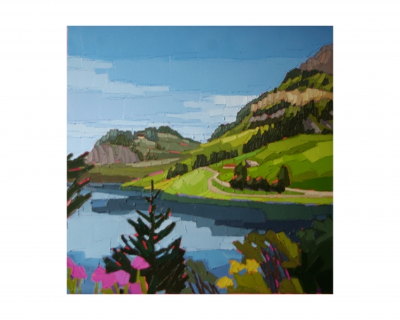 LAC DE SAINT GUERIN 70×70